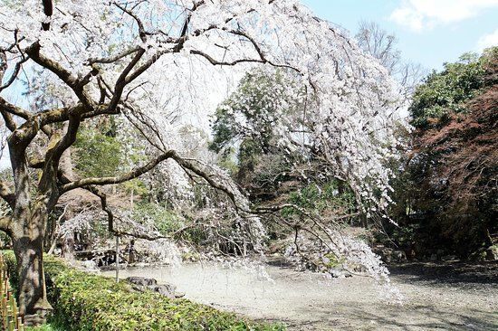 Palazzo imperiale di Kyōto